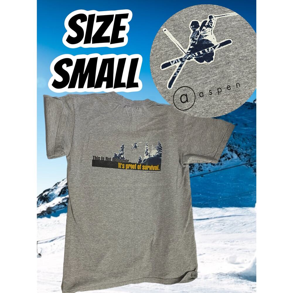 Vintage Y2K Aspen Powder Ski T-Shirt Size Small 2003 Colorado Skiing Graphic Tee